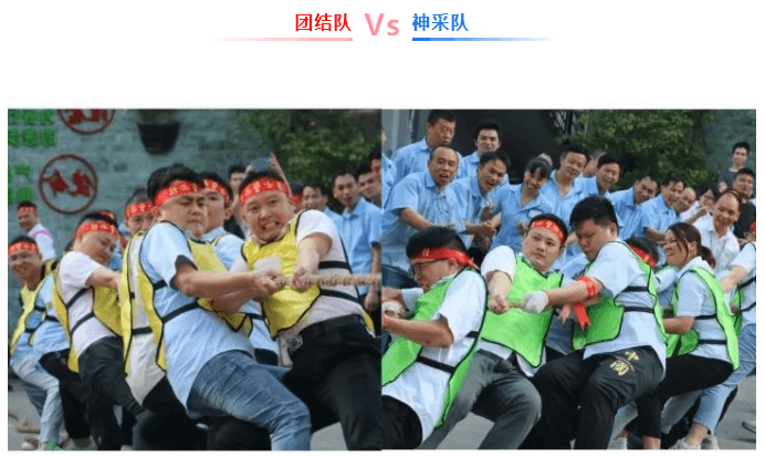 东莞市东盛迪密封制品有限公司