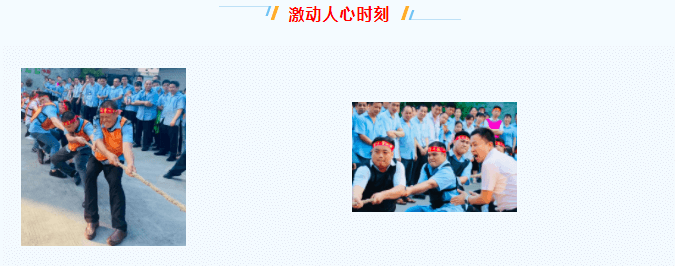 东莞市东盛迪密封制品有限公司